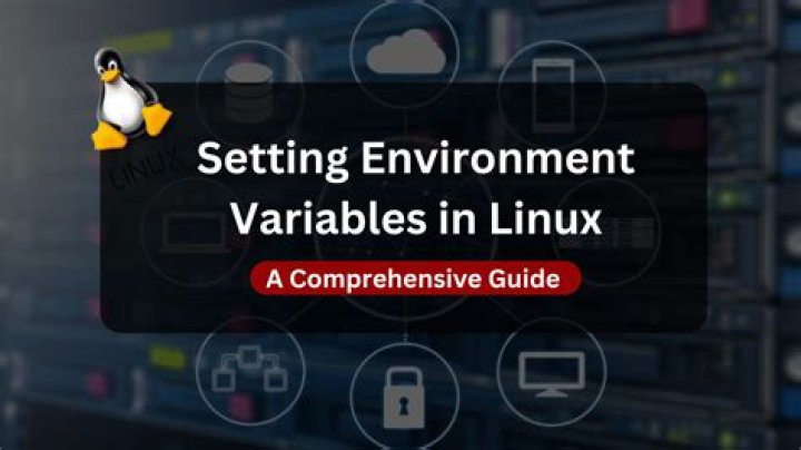 How do I view variables in Linux?