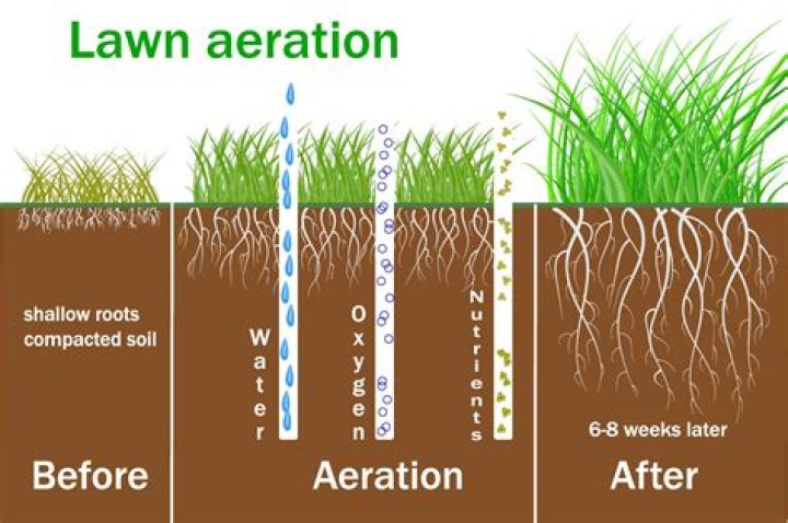 How do you aerate soil without damaging roots?