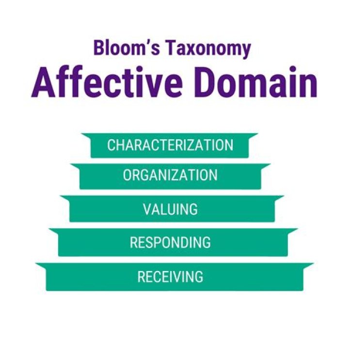 How do you assess the affective domain?