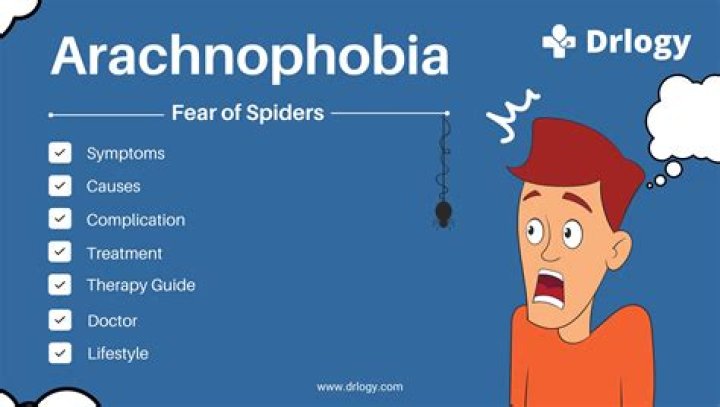 How do you beat arachnophobia?