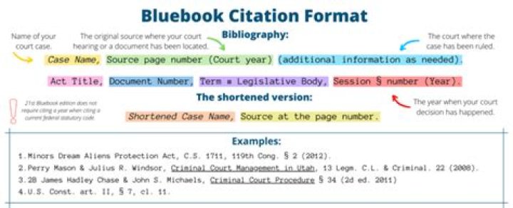 How do you cite a paragraph Bluebook?