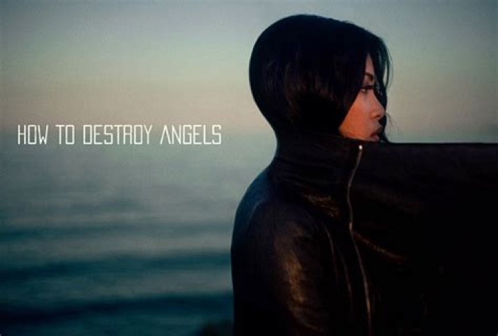 How do you destroy Angels albums?