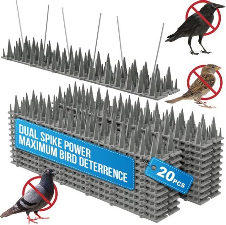 How do you deter car thieves?