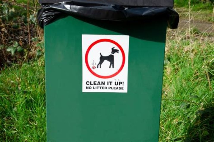 How do you dispose of dog waste UK?