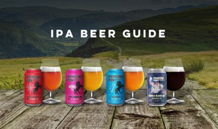 How do you drink an IPA beer?
