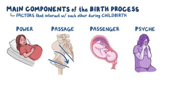How do you explain childbirth to a 5 year old?