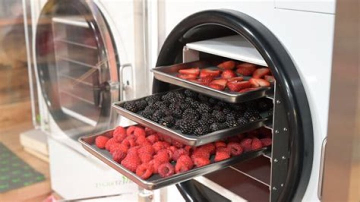 How do you freeze dry fruit for baking?