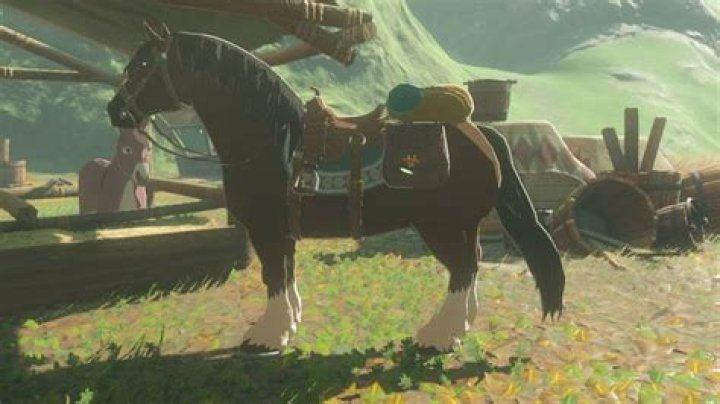 How do you get a travelers bridle Botw?