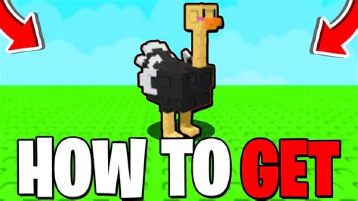How do you get ostrich Stardew?