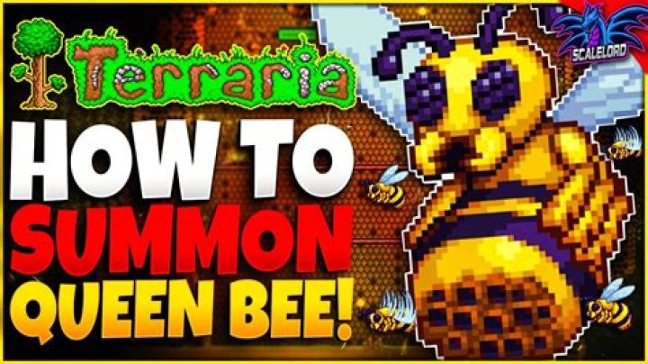 How do you get Queen Bee to summon an item?
