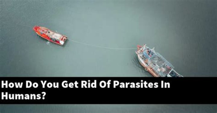 How do you get rid of parasites in humans?
