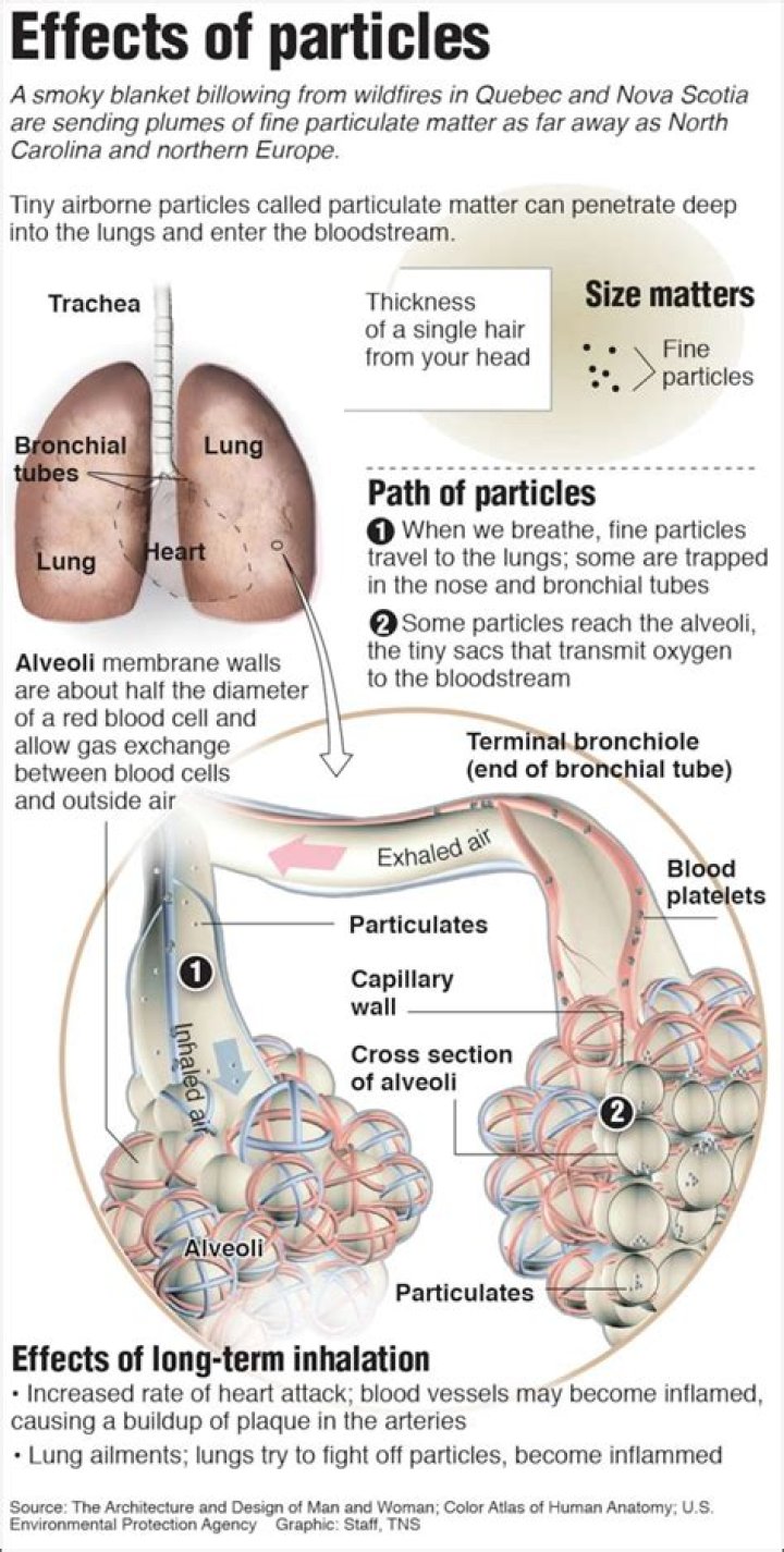 How do you get soot out of your lungs?
