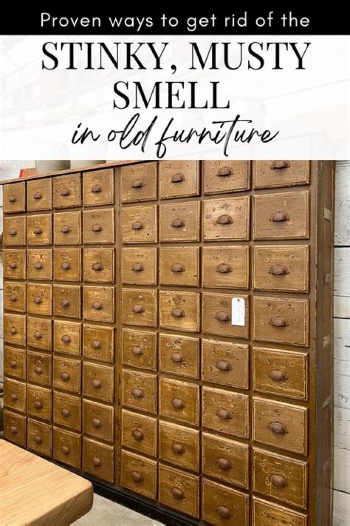 How do you get the smell out of a sand dollar?