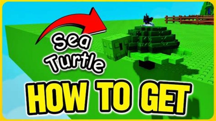 How do you get the turtle to follow the mouse in Python?