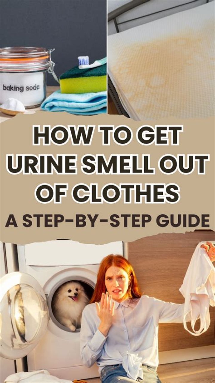 How do you get urine smell out of ducts?