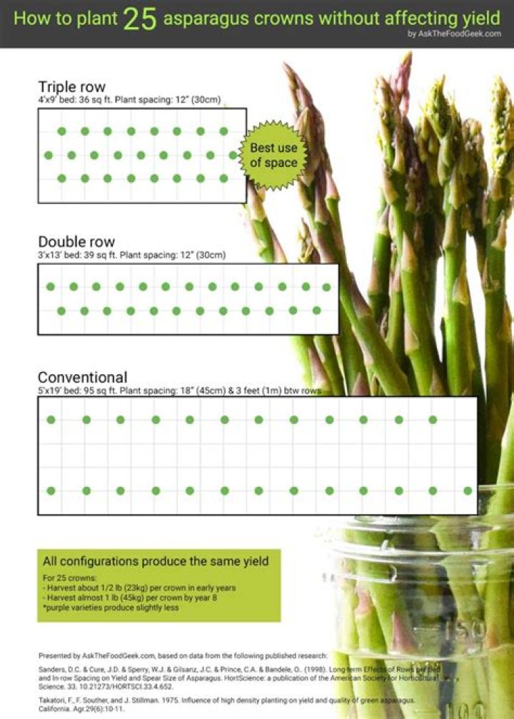 How do you grow asparagus in Alberta?