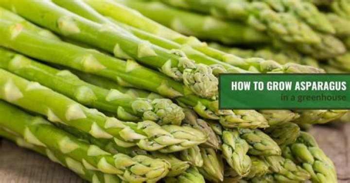 How do you grow asparagus in Ontario?