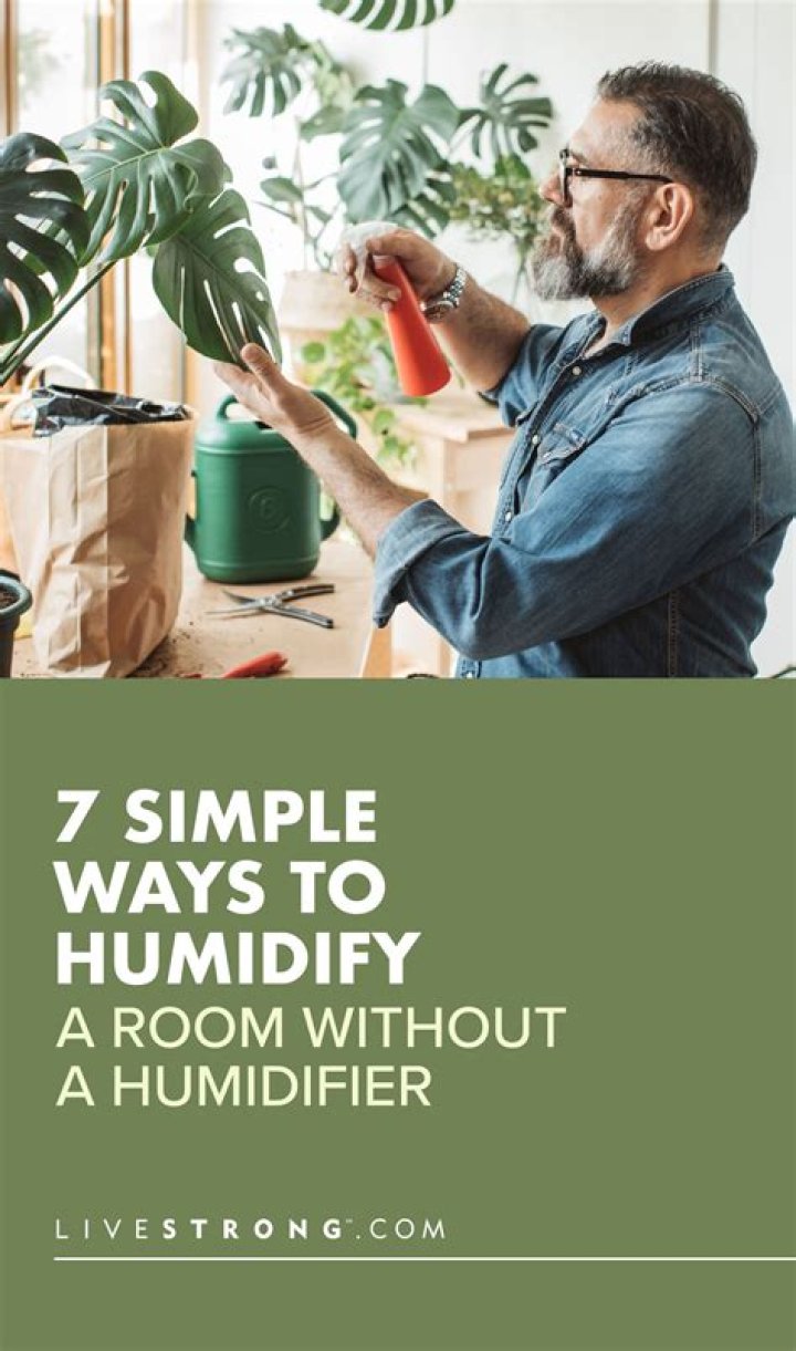 How do you humidify a room naturally?