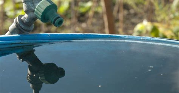 How do you keep a water butt?