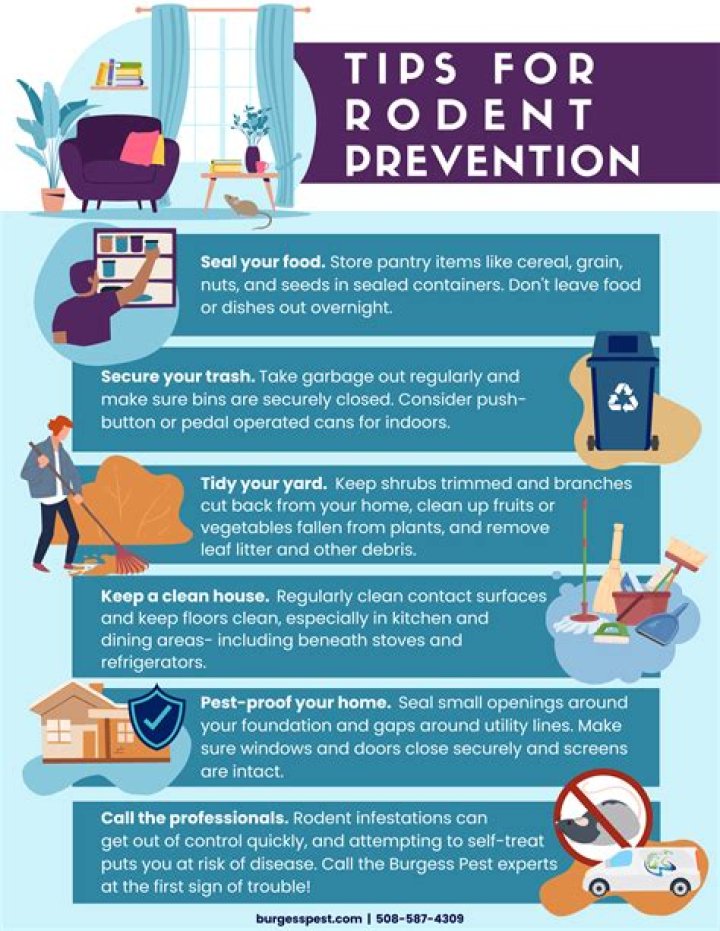 How do you keep thieves out of your house?