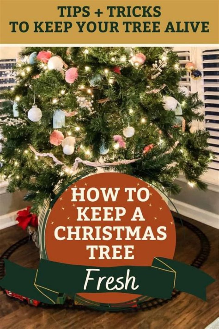 How do you keep your Christmas tree from turning brown?