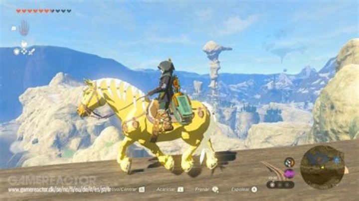 How do you know if a horse is lonely?