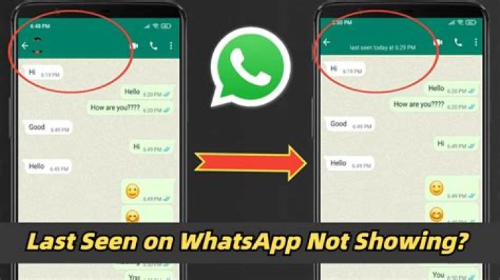 How do you know if someone is faking last seen on WhatsApp?
