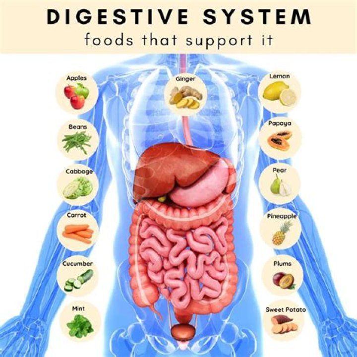 How do you know if your digestive system is healthy?