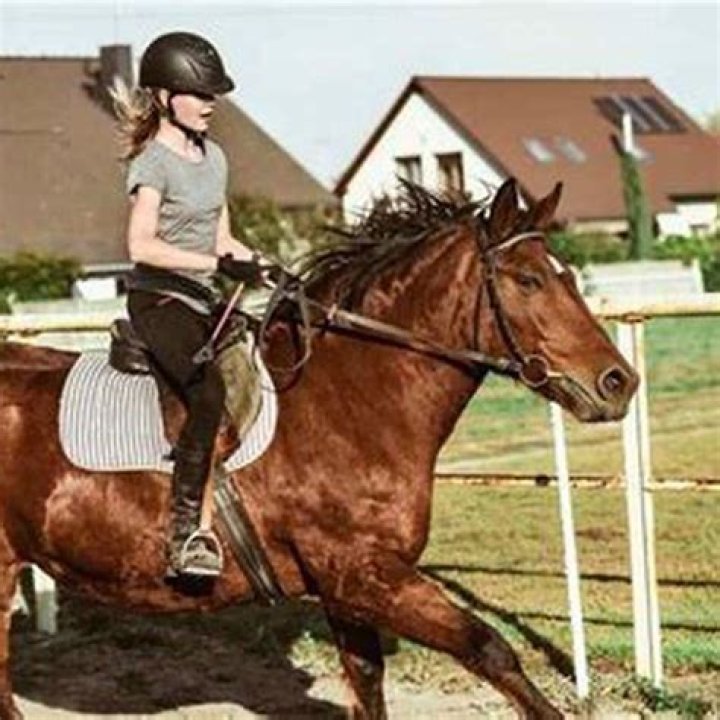 How do you know if your horse is sad?