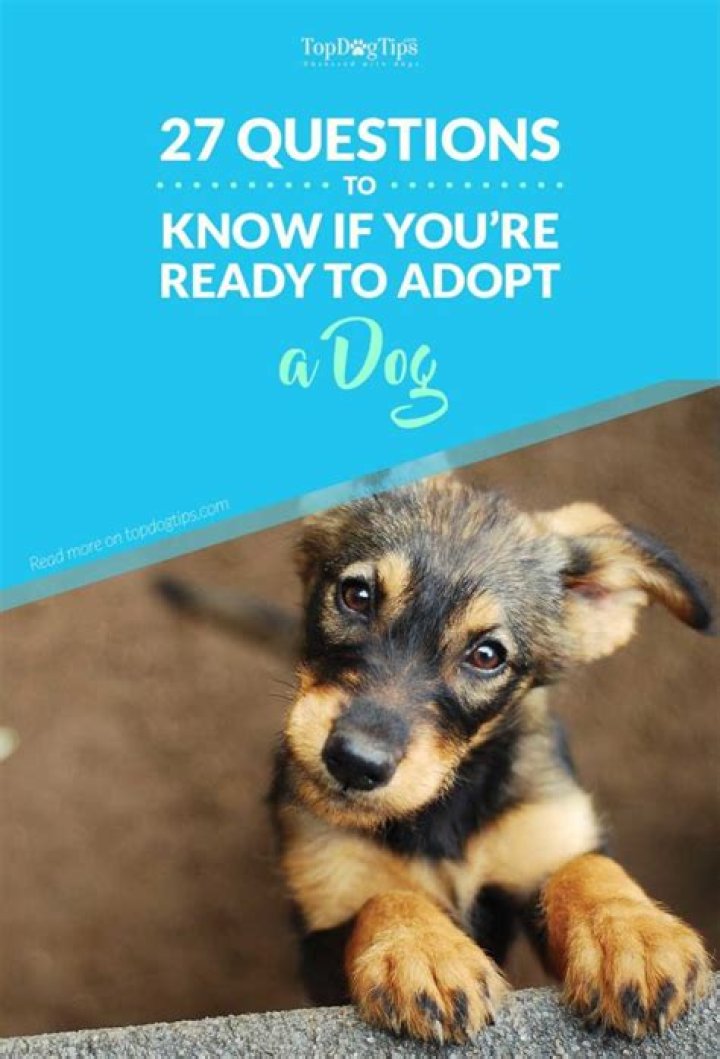 How do you know if you're ready for a second dog?