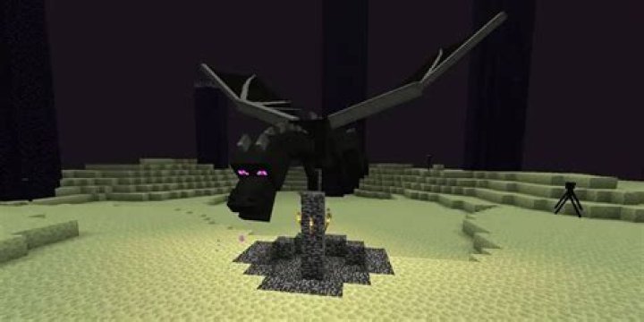 How do you make a baby Ender dragon in Minecraft?