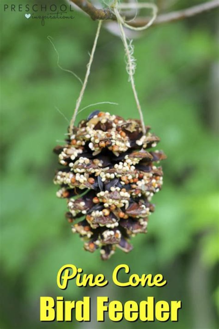 How do you make a bird feeder out of pine cones?