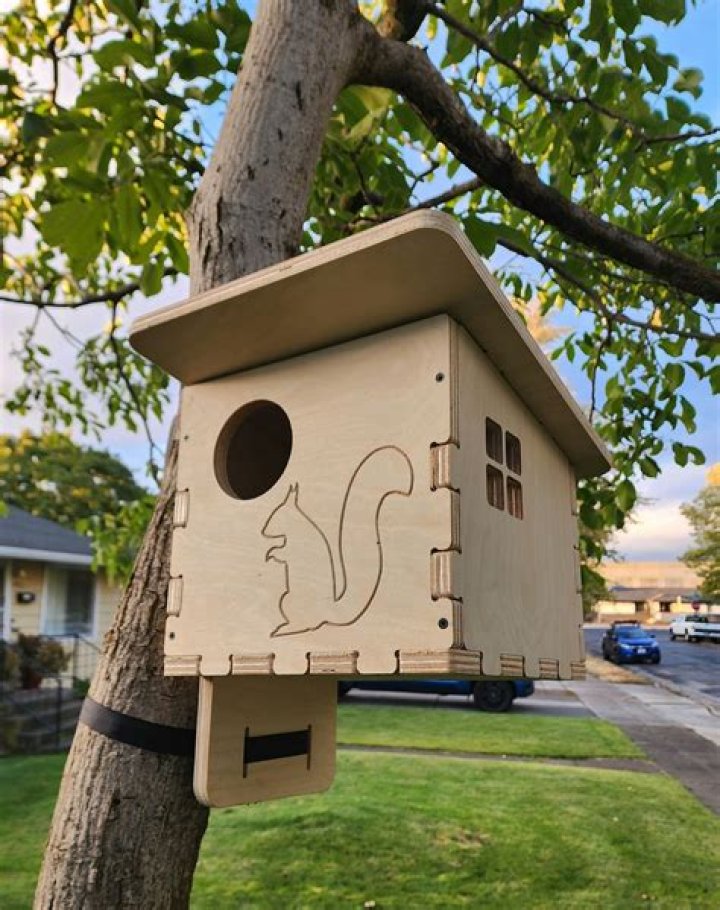 How do you make a squirrel house?