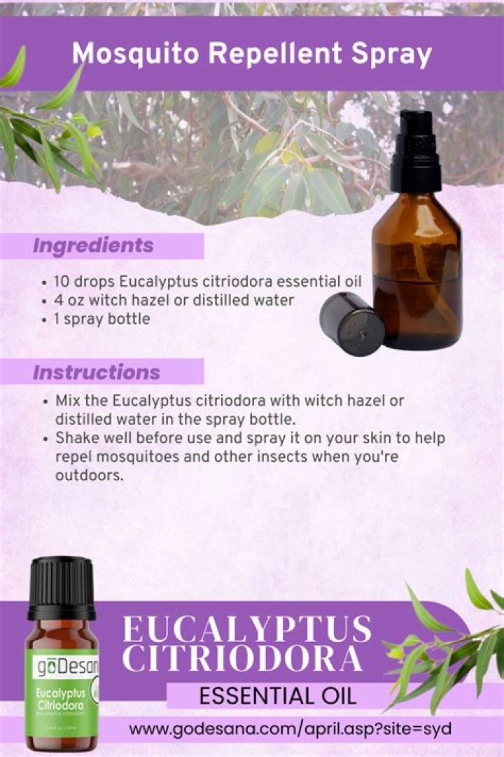 How do you make eucalyptus mosquito repellent?