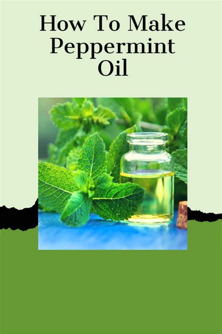 How do you make peppermint oil for rats?
