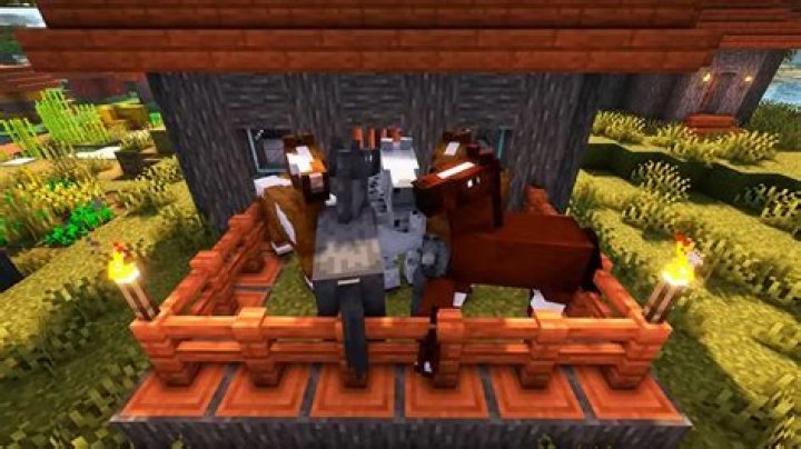 How do you make the best horse in Minecraft?