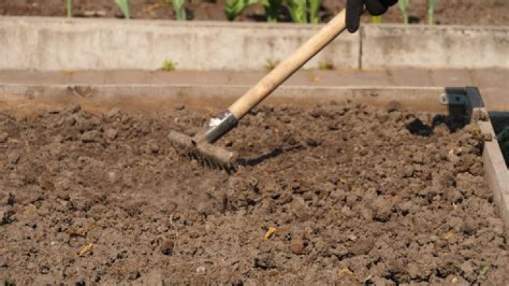How do you prepare the soil for a nursery?