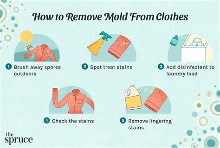 How do you prevent mold on clothes?
