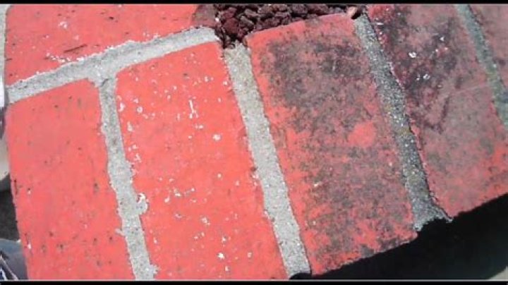How do you remove mold from bricks?