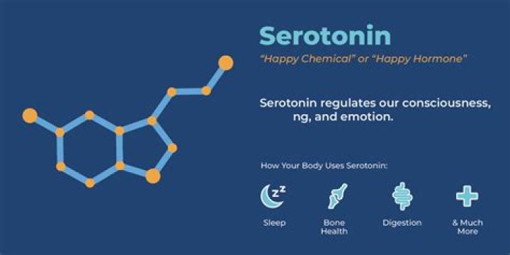 How do you reset serotonin levels?