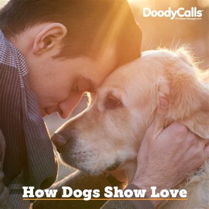 How do you show your dog you love them in their language?