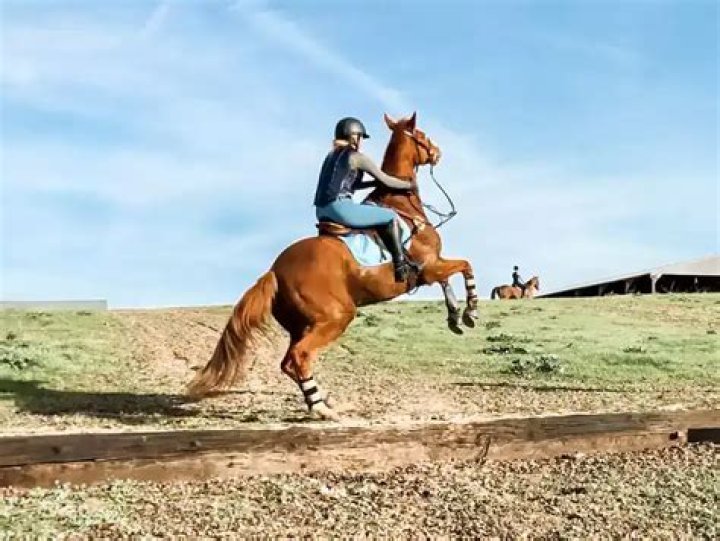 How do you stop a horse from kicking in a trailer?