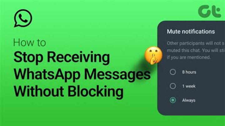 How do you stop receiving messages from someone on WhatsApp without blocking them?