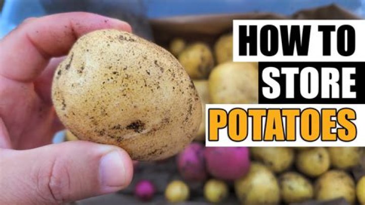 How do you store potatoes if you don't have a basement?