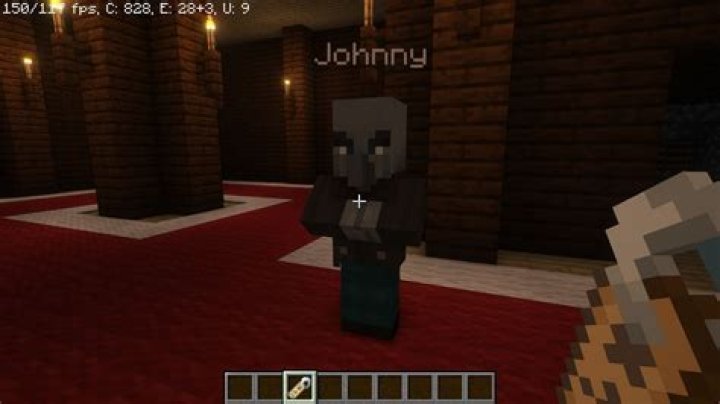 How do you summon a Vindicator named Johnny?