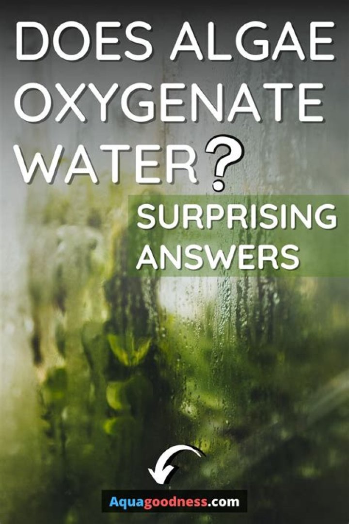 How do you super oxygenate water?