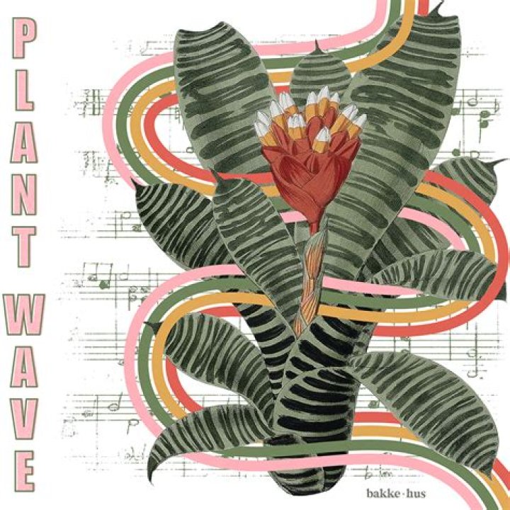 How do you use PlantWave?