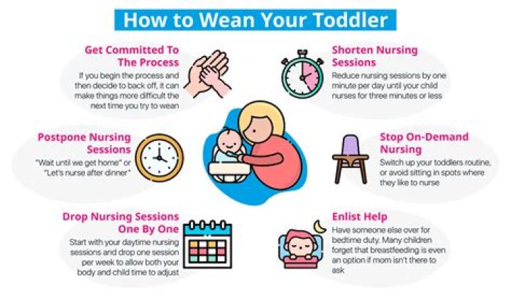 How do you wean a stubborn toddler?