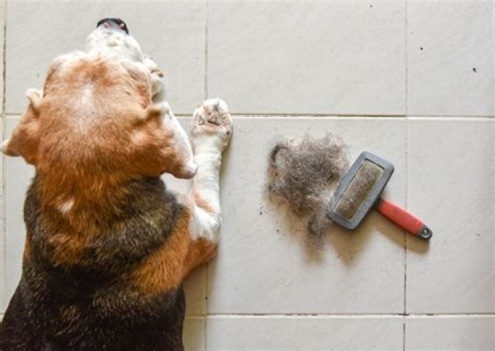 How do you whiten grout?