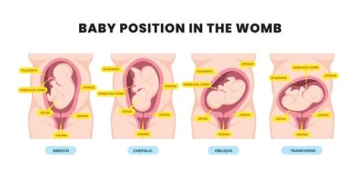 How does the baby not drown in the womb?